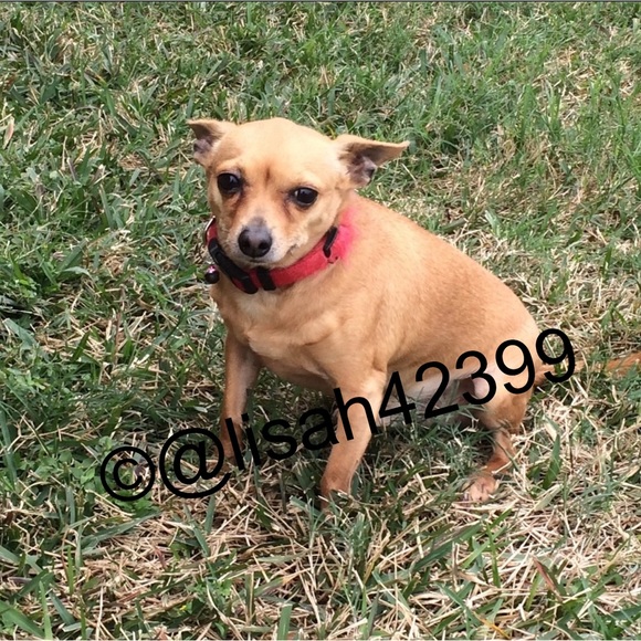 Meet your Posher, Lisa - Picture 3 of 11